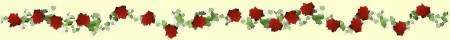 Roses dividing line graphic