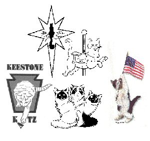 Mid-Atlantic Club logos